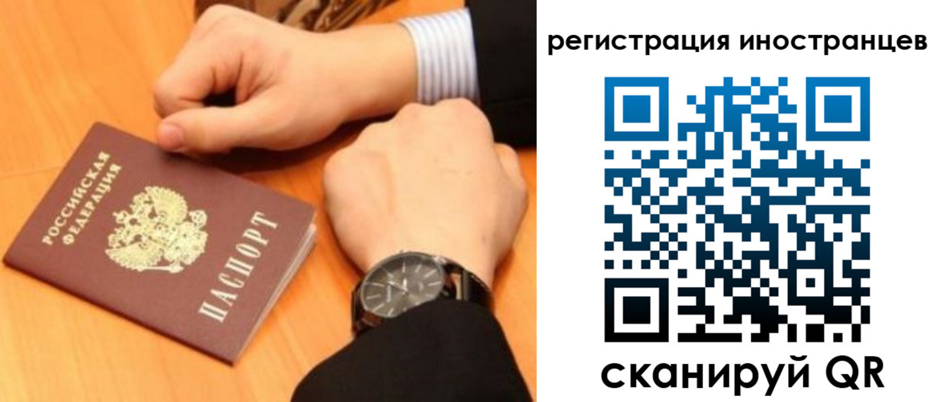 прописка гарантия в Димитровграде